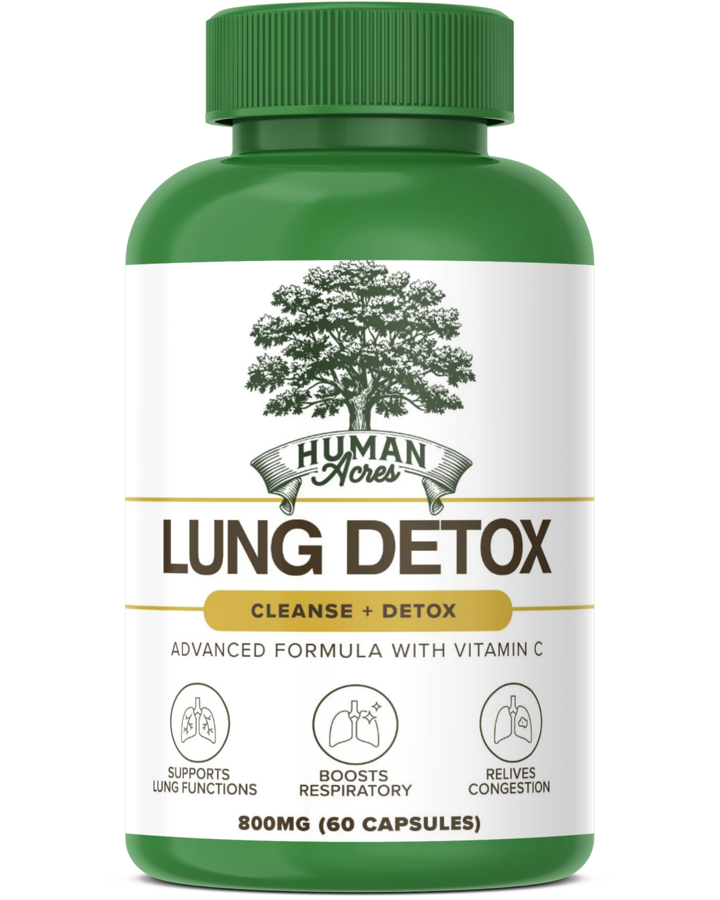 Lung Restore